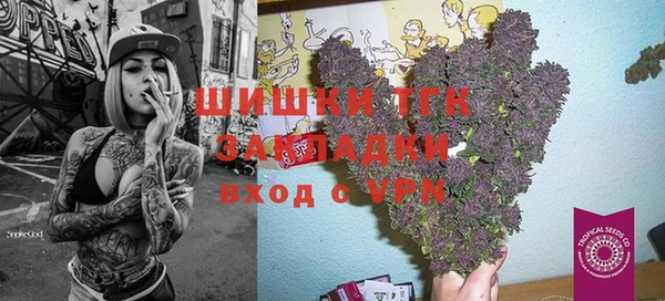 Альфа ПВП Инта