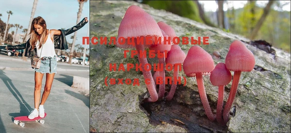 Альфа ПВП Инта