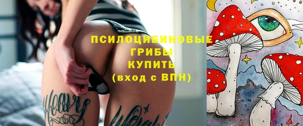 Альфа ПВП Инта