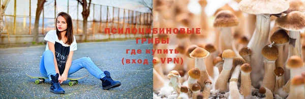мескалин Инсар