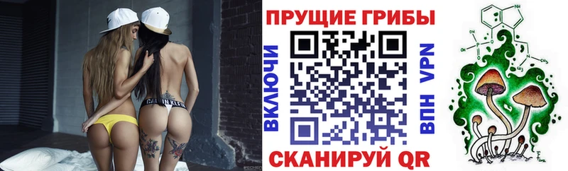Галлюциногенные грибы ЛСД Купить Алзамай